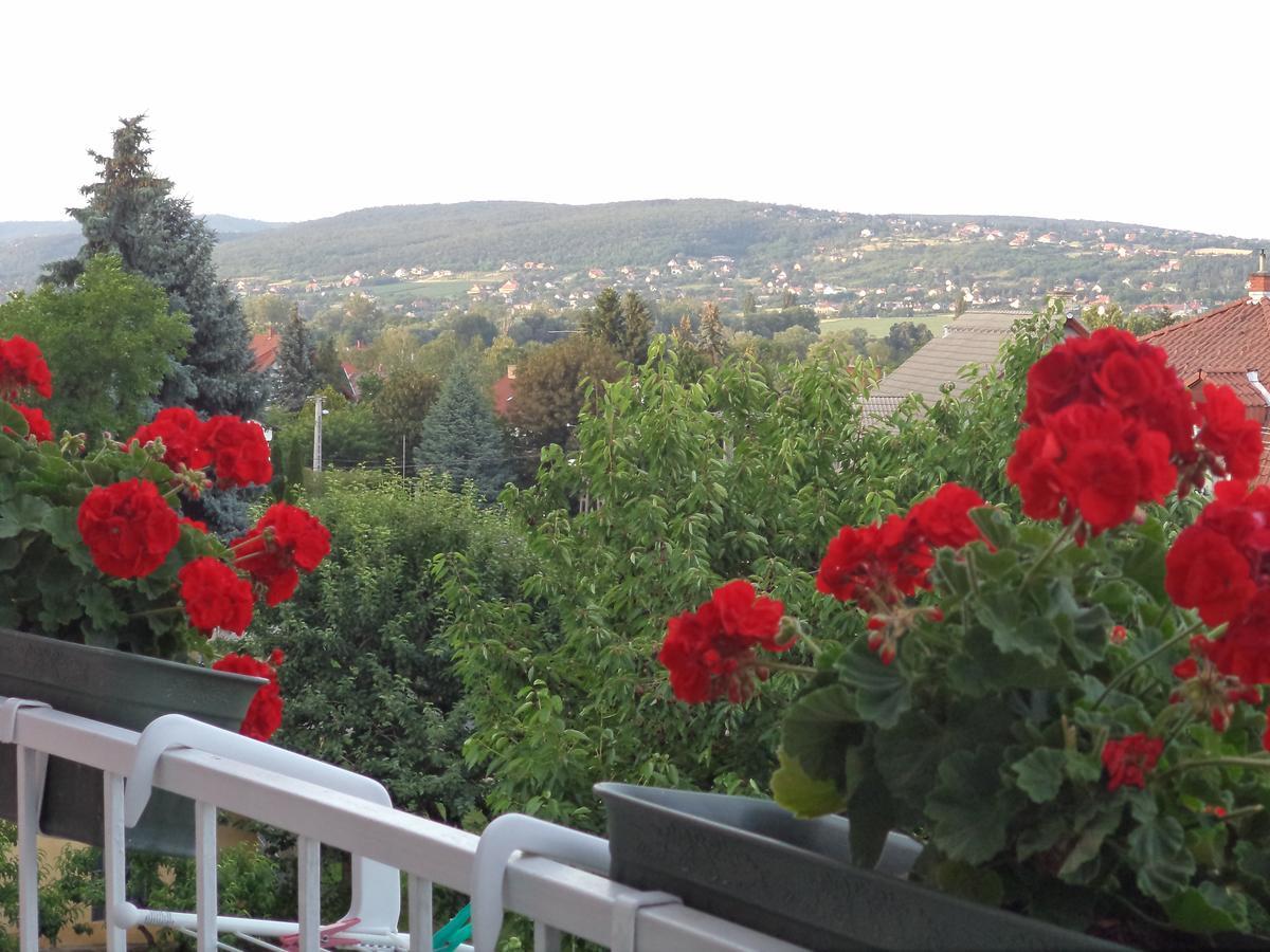 Maria Apartman Heviz Exterior photo